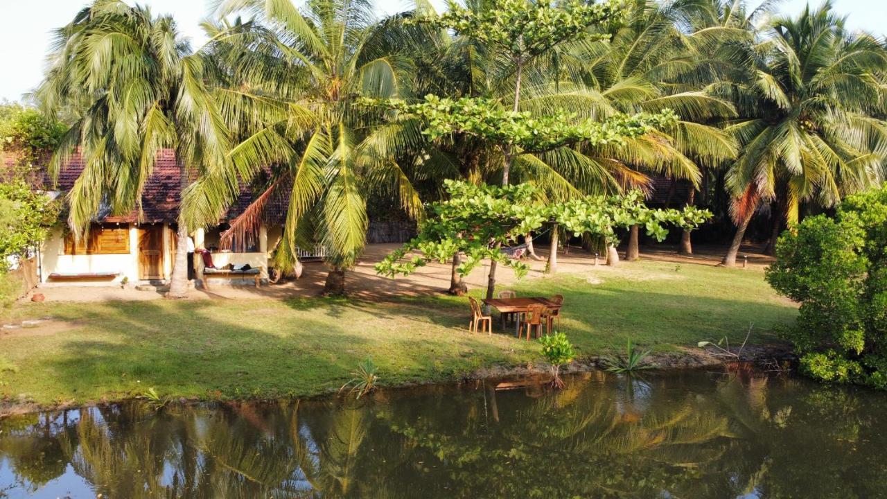 Kite House Cafe Bed & Breakfast Kalpitiya Ngoại thất bức ảnh