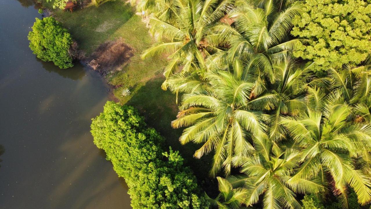 Kite House Cafe Bed & Breakfast Kalpitiya Ngoại thất bức ảnh