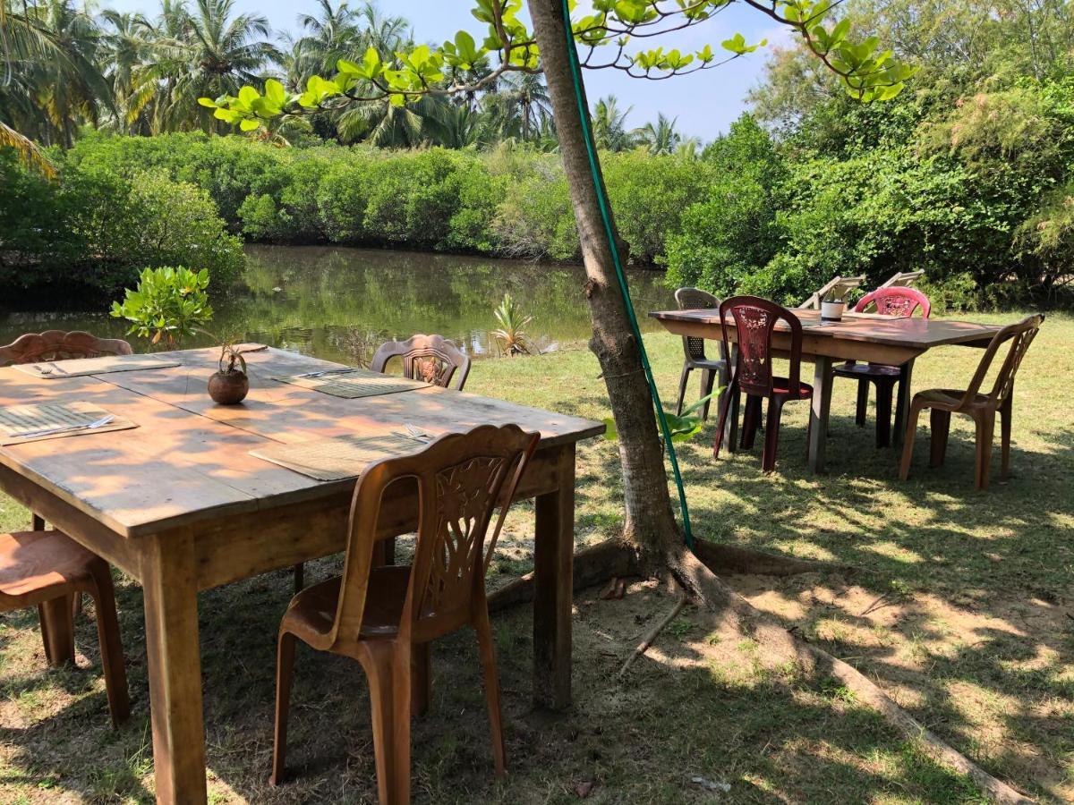 Kite House Cafe Bed & Breakfast Kalpitiya Ngoại thất bức ảnh