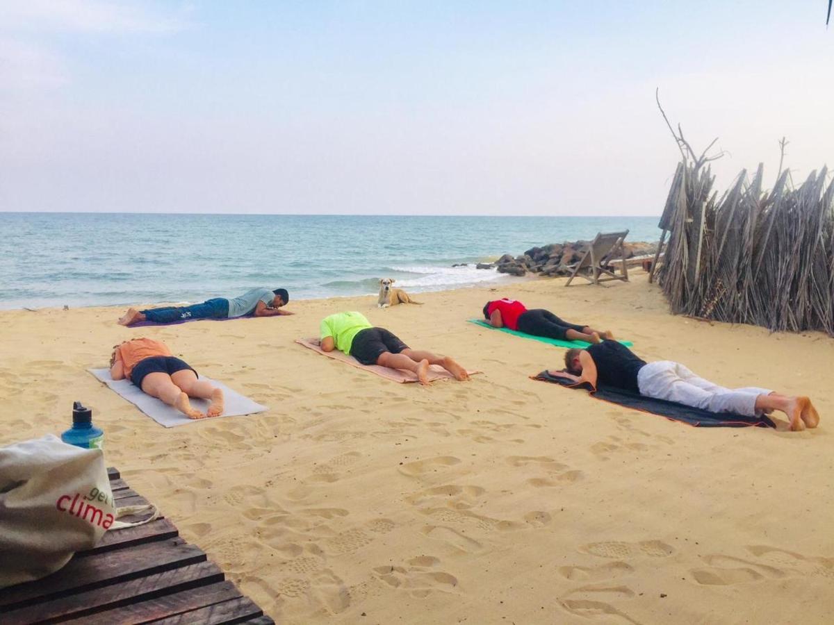 Kite House Cafe Bed & Breakfast Kalpitiya Ngoại thất bức ảnh